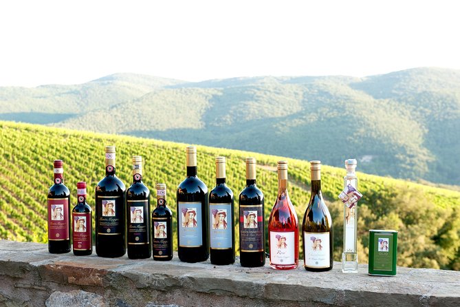 Tour and Tasting at an Organic Winery in the Heart of Chianti Classico Area - Key Highlights You’ll Care About
