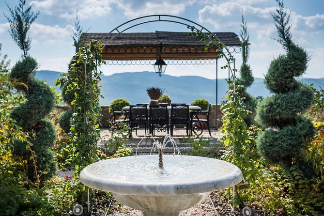 Tour and Tasting at an Organic Winery in the Heart of Chianti Classico Area - The Five-Product Tasting (Plus Food) That Makes Chianti Click