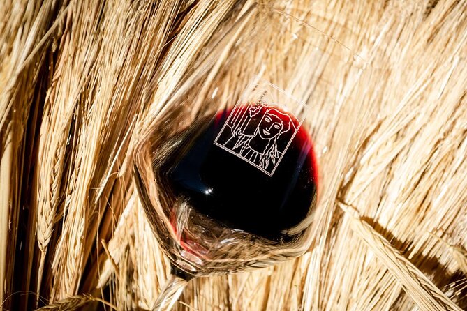 Tour and Tasting at an Organic Winery in the Heart of Chianti Classico Area - Price and Value: What $48.36 Really Buys You