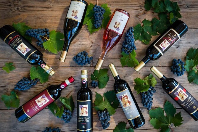 Tour and Tasting at an Organic Winery in the Heart of Chianti Classico Area - Who This Organic Chianti Tour Fits Best