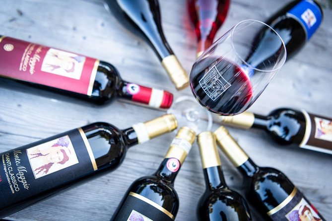 Tour and Tasting at an Organic Winery in the Heart of Chianti Classico Area - Vineyard Walk: Seeing Organic Chianti Before You Taste It