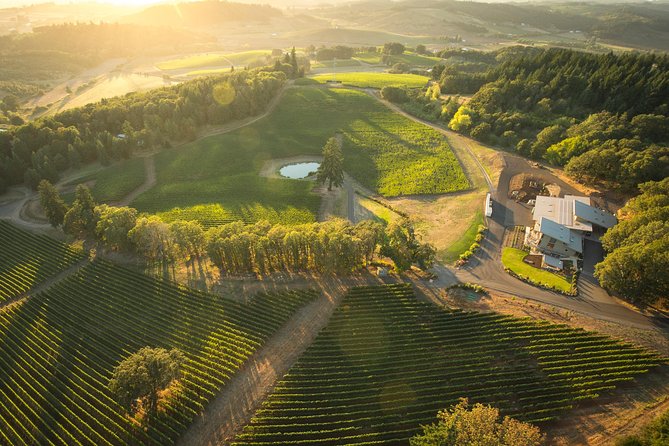 Tour DeVine by Heli - Helicopter Wine Tour - Key things to know before you book