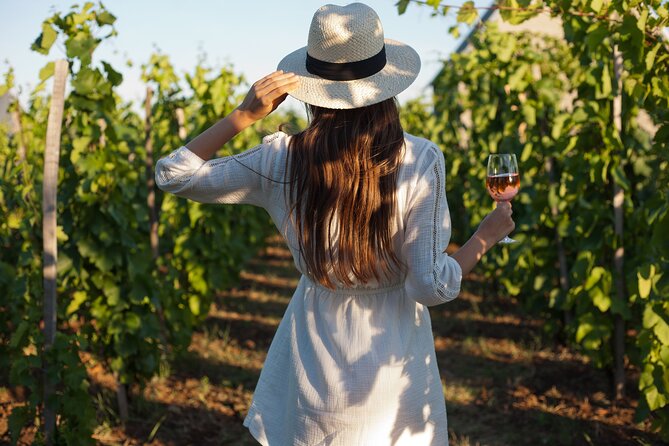 Tour Etna & Wine Tasting - A Volcano Day With Hiking, Lava Caves, and Wine