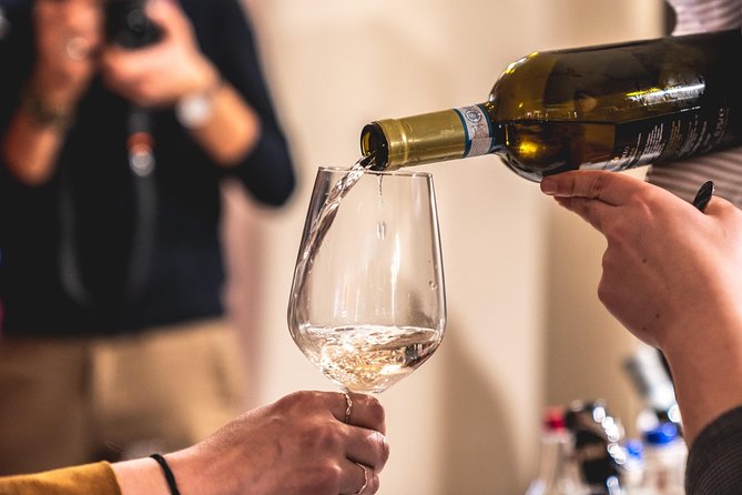 Tour in the Winery and tasting - The vineyard walk: seeing Lugana from the ground up