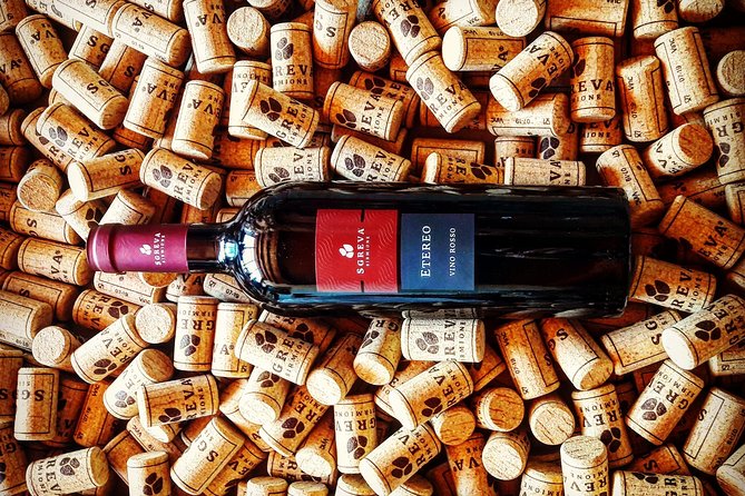 Tour in the Winery and tasting - How the bottle is made: what you’ll learn before you sip