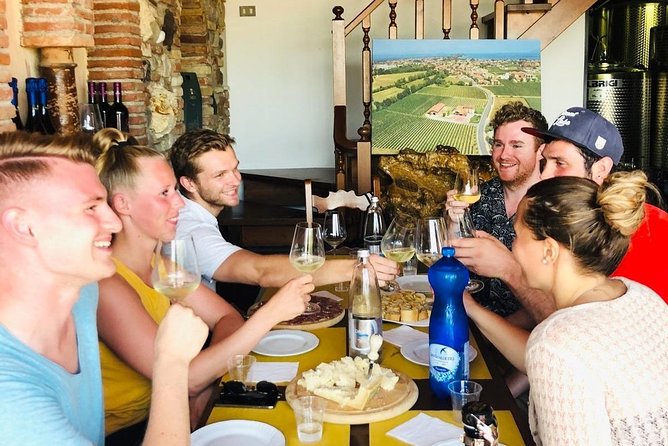 Tour in the Winery and tasting - The tasting: four glasses plus local plates that do real work