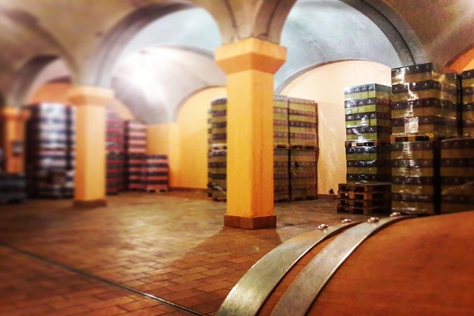 Tour in the Winery and tasting - Getting there from Sirmione: walkable, but plan your time