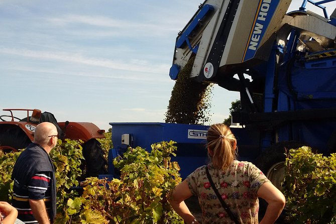 Tour of a Vineyard, Winery & Cellar with Wine Tasting in Vouvray, Loire Valley - Winery tour: from grape growing to the choices inside production