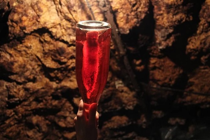 Tour of a Vineyard, Winery & Cellar with Wine Tasting in Vouvray, Loire Valley - The rock-hewn cellar: why storage changes the wine’s story