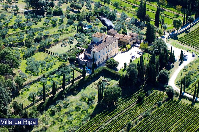 Tour through the vineyards and wine and olive oil tasting in Tuscany - Key things that make this tour worth your time