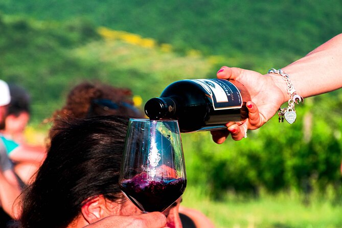 Tour through the vineyards and wine and olive oil tasting in Tuscany - First stop: winery visit and the grape-to-bottle story