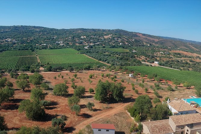 Tour & Wine tasting - Authentic Algarve Flavours by Quinta da Tôr - What you eat with Algarve wines: tapas boards that don’t skimp