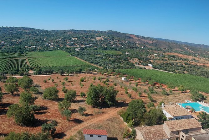 Tour & Wine tasting - Authentic Algarve Flavours by Quinta da Tôr - Who this Algarve wine tasting suits best