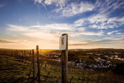 Trier: Discovery Tour – Germany's Oldest Wine Cellar - The guided story: how the tour makes history click