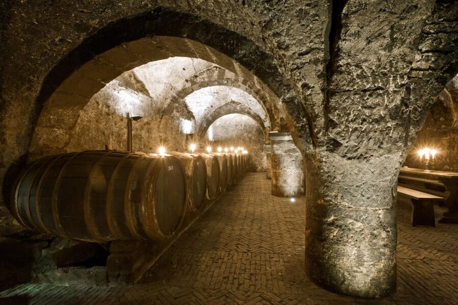 Trier: Discovery Tour – Germany's Oldest Wine Cellar - Who should book this tour (and who might not)
