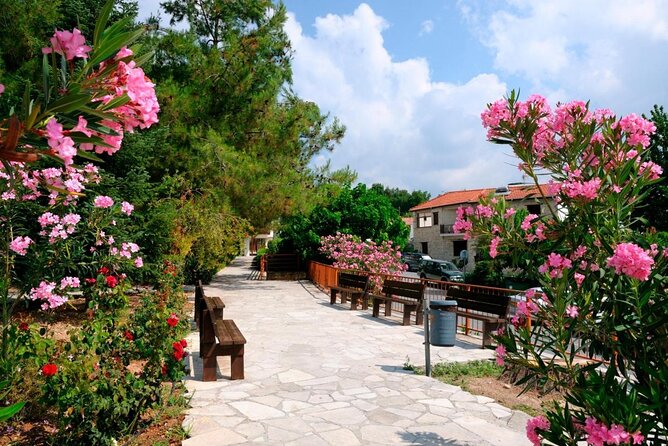 Troodos Mountains Grape Escape: All Inclusive Food & Wine Tour - Key highlights to look for