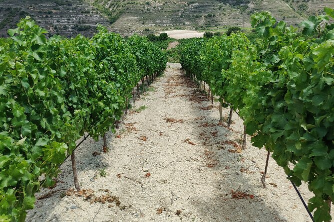 Troodos Mountains Grape Escape: All Inclusive Food & Wine Tour - Omodos village stop: culture, monastery time, and a real mountain feel