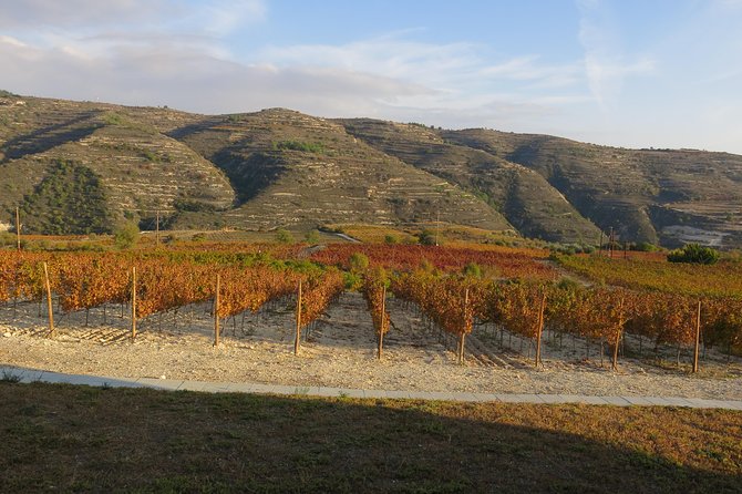 Troodos Mountains Grape Escape: All Inclusive Food & Wine Tour - Full meze lunch with drinks: where the value really lives