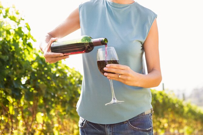 Troodos Mountains Vino Venture: All Inclusive Full Day Wine Tour - Key highlights you’ll care about
