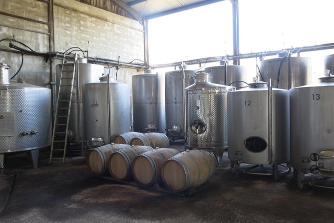 Troodos Mountains Vino Venture: All Inclusive Full Day Wine Tour - Pickup, group size, and the van reality check