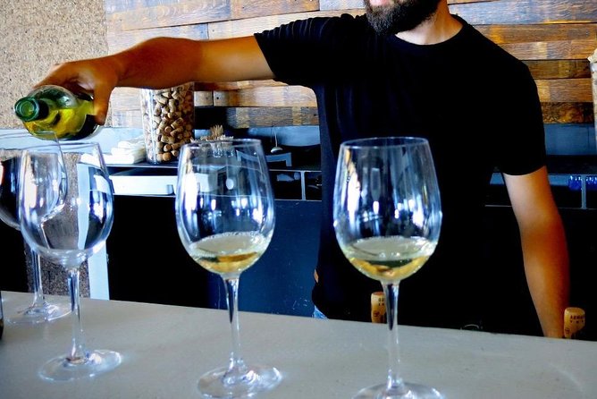 Troodos Mountains Vino Venture: All Inclusive Full Day Wine Tour - Timing, flexibility, and how to avoid feeling rushed