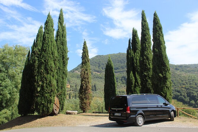 Tuscan Wine Tour in Lucca by van - Key highlights worth your attention