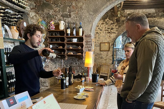 Tuscan Wine Tour in Lucca by van - Stop 1 in the Lucca hills: where the winemaking story starts