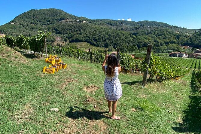 Tuscan Wine Tour in Lucca by van - The guides and hosts: why this tour often feels warm