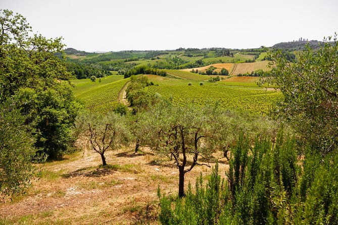 Tuscany Day Trip from Florence: Siena, San Gimignano, Pisa and Lunch at a Winery - A Long Day With Smart Stops: How This Tour Feels in Real Life