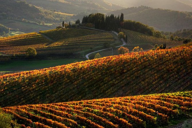 Tuscany Hiking Tour from Siena Including Wine Tasting - Key highlights worth planning for