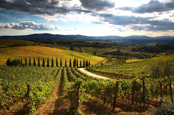 Tuscany Hiking Tour from Siena Including Wine Tasting - Siena to the Pilgrim Trail: Your 9:00am start and the van ride