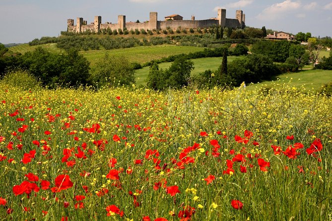 Tuscany Hiking Tour from Siena Including Wine Tasting - Train back to Siena: a comfortable finish with flexibility