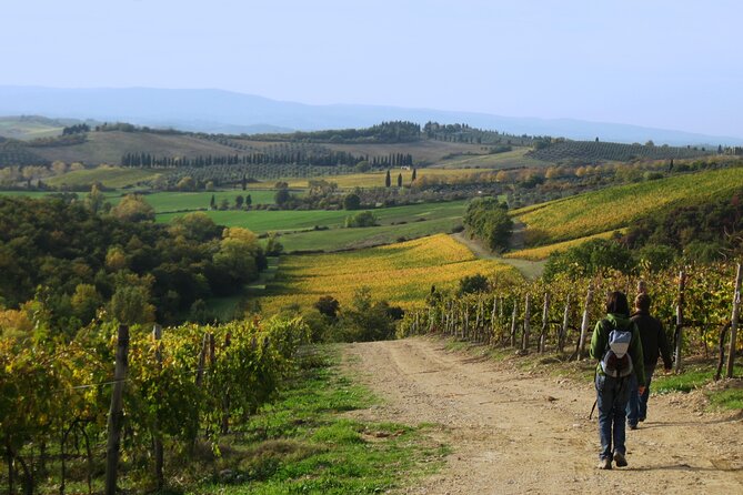 Tuscany Hiking Tour from Siena Including Wine Tasting - Little tips that make a big difference on the day