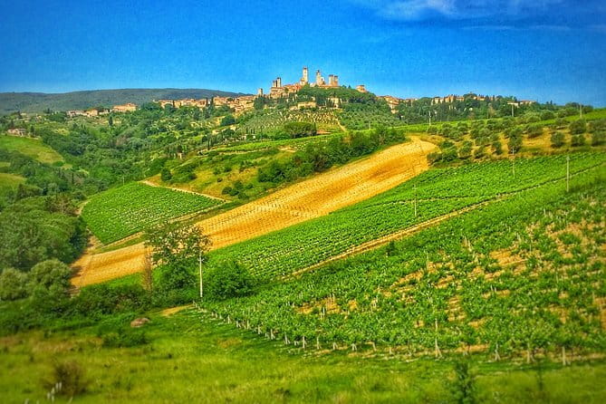 Tuscany Vespa Tour from Florence with Wine Tasting - Stop 3: Typical Tuscan light lunch with guided Chianti tasting