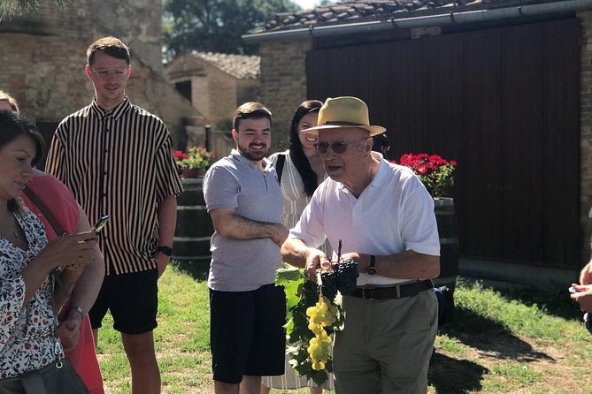 Tuscany Wine & Hills from Florence - Small Group - Key Highlights Worth Getting Excited About