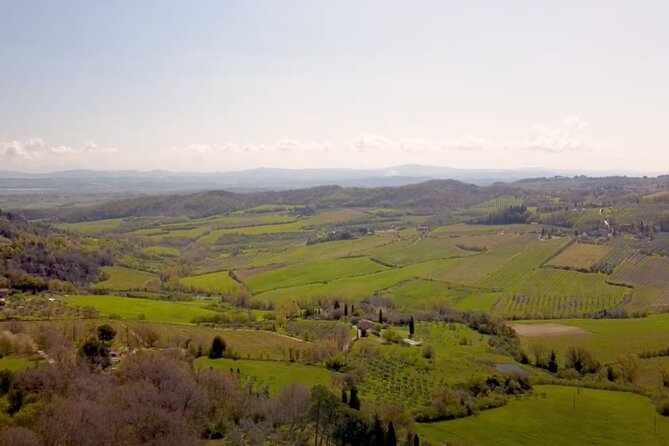 Tuscany Wine & Hills from Florence - Small Group - Food and Wine on the Day: What’s Actually Included