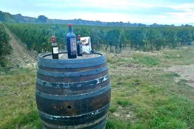 Tuscany Wine & Hills from Siena - Small Group - How the Pace Works (and Why Some Days Feel Tight)