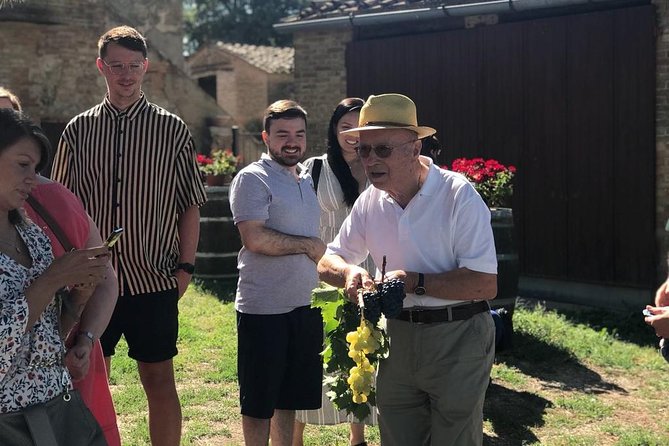 Tuscany Wine & Hills from Siena - Small Group - The Small-Group Feel: What “Max 15” Means in Practice
