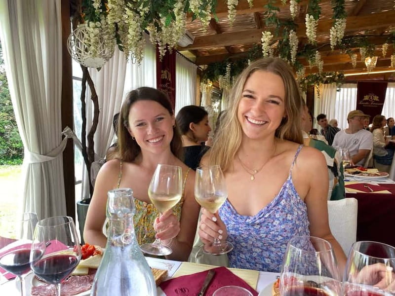 Tuscany Wine Tour : 2 Wineries & San Gimignano from Florence - San Gimignano in 90 minutes: towers, cobblestones, and gelato fuel