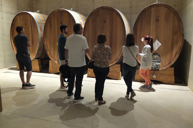 Two wineries tour with wine tasting - Utiel-Requena in Context: Why This Region Is Worth a Visit