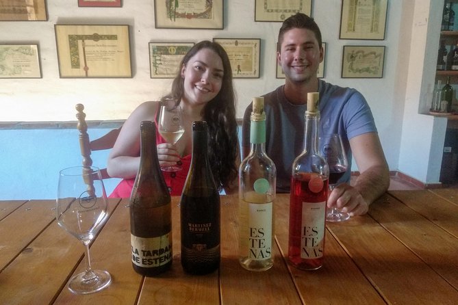 Two wineries tour with wine tasting - Stop Two: The Family-Run Contrast (Vineyards, History, and a Living-Roof Detail)