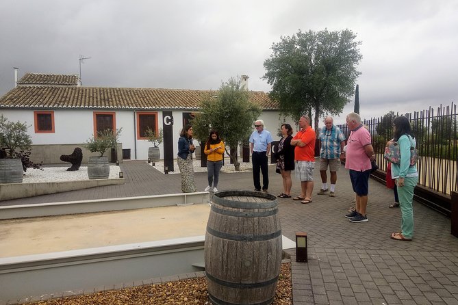 Two wineries tour with wine tasting - Tastings and Snacks: What You Should Expect in the Glass