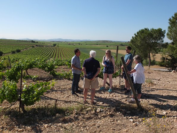 Two wineries tour with wine tasting - Transportation and Timing from Valencia: Comfort Without Chaos