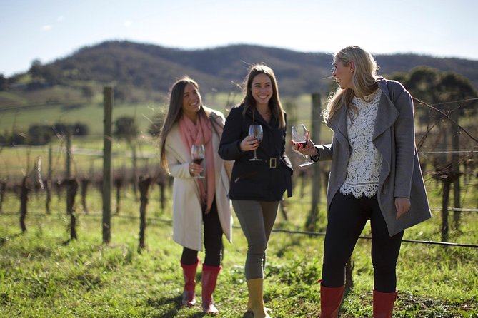 Ultimate Yarra Valley Chandon, Soumah & De Bortoli Cheese & Wine - Chandon Guided Tasting: Sparkling Wine Done the Easy Way