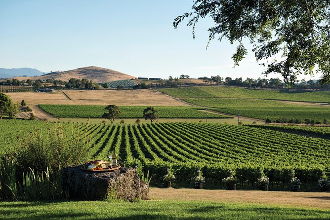 Ultimate Yarra Valley Chandon, Soumah & De Bortoli Cheese & Wine - The Value Question: Is $204.41 a Smart Spend?