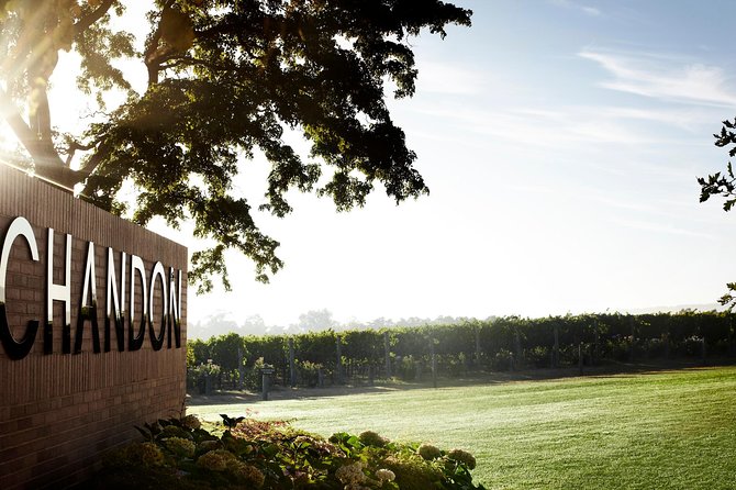 Ultimate Yarra Valley Chandon, Soumah & De Bortoli Cheese & Wine - Should You Book This Yarra Valley Tour?