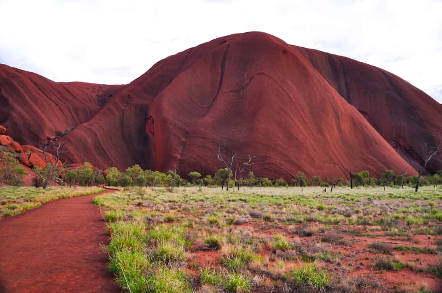 Uluru: Sacred Sites & Sunset Tour with Wine & Cheeseboard - Key moments to plan for