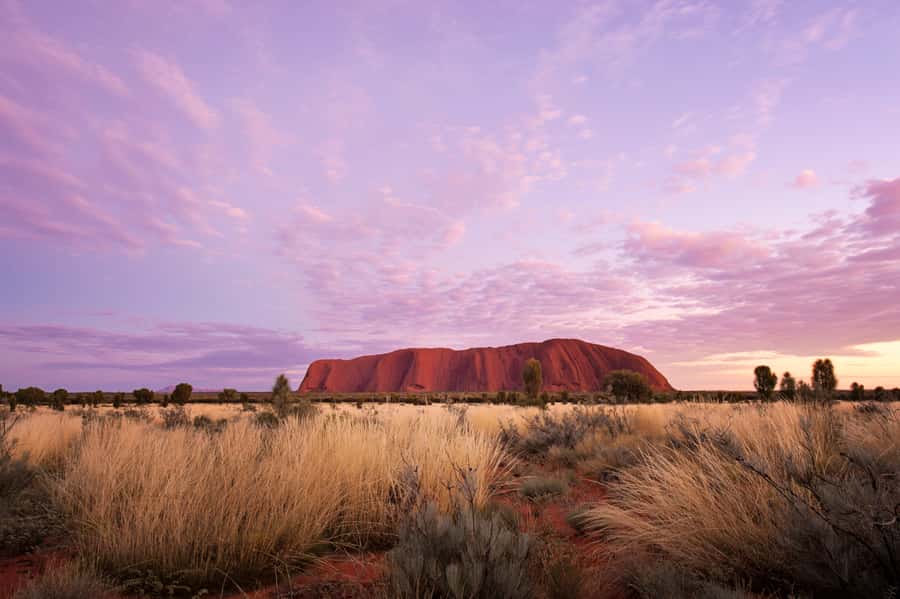 Uluru: Sacred Sites & Sunset Tour with Wine & Cheeseboard - Who should book this Uluru sunset tour