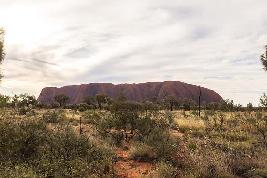 Uluru: Small Group Sunset Tour with Sparkling Wine - The big draw: an uninterrupted Uluru sunset view