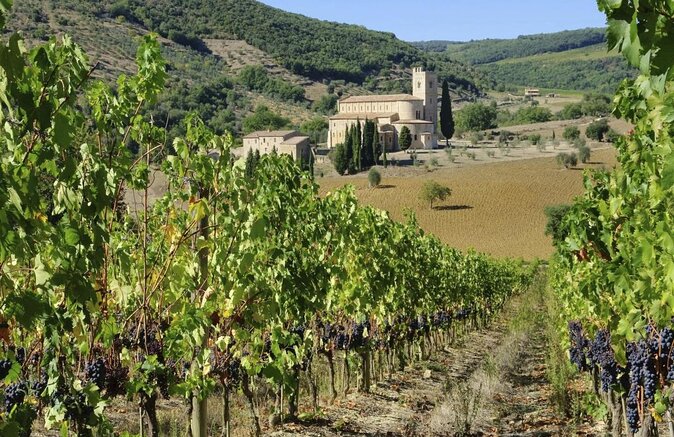 Val d'Orcia Brunello Wine Tour with Montalcino and Montepulciano - Key Things to Know Before You Go